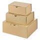 Preview: Warenpost International Versandkarton MEDIUM extra stabil 174x104x74mm braun