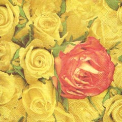 Motivservietten 3-lagig 33 x 33cm Frühlingsmotiv Frühjahr 