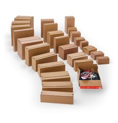 Preview: ColomPac Euroboxen M 300 x 100 x 150mm mit Selbstklebeverschluss & Aufreißfaden braun