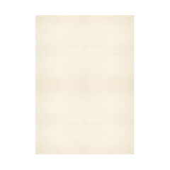 Einlegeblätter A4 elfenbein strukturiert 100g 