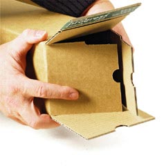 Preview: Versandhülsen lange Kartons Poster Rohre Lampen Stiele 610mm-2000mm Auswahl