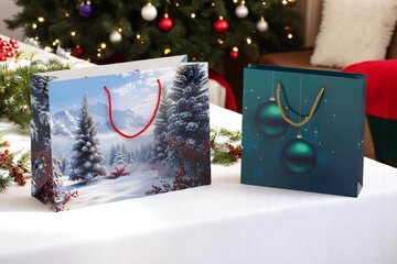 Preview: VEPATIM 100 Luxus Papiertragetaschen 360+120x260mm Motiv Winterlandschaft in weiß 190 g/m²
