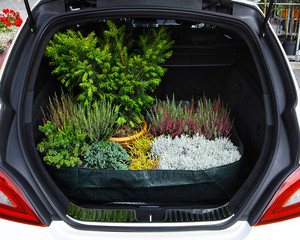 Kofferraumtasche Schutztasche Pflanzenmatte 90 x 60 x 20 cm PE Gewebe 160 gr