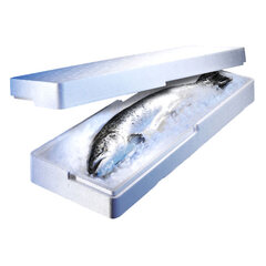 Isolierboxen für den Fischversand aus Styropor EPS 650x230x96mm 8 Liter