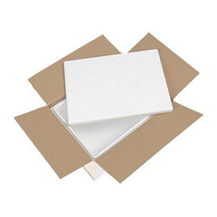 Isolierboxen mit Deckel aus EPS 442 x 320 x 209 mm 19 Liter inkl. Umkarton