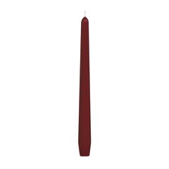Spitzkerzen 245 mm 8 Stunden Brenndauer bordeaux 