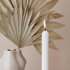 Preview: Tafelkerzen 200 mm 8 Stunden Brenndauer weiß 