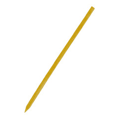 Bambus Schaschlikstäbe Bambusspieße robust splitterfrei 20 cm 