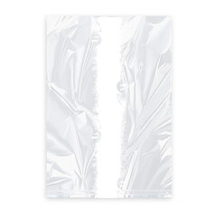 Gefrierbeutel mit Verschlussclips 'L' 250 x 320 mm 3 Liter LDPE 