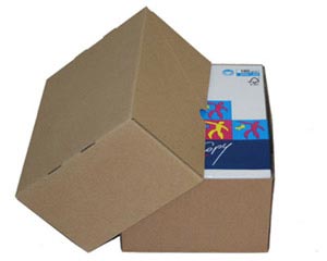 VEPATIM Stülpdeckelkarton aus Wellpappe LARGE für Din A4 305x215x150-(270)mm