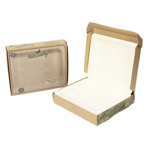 Holzteller Einwegteller aus Pappelholz rechteckig 26x22cm nachhaltig 