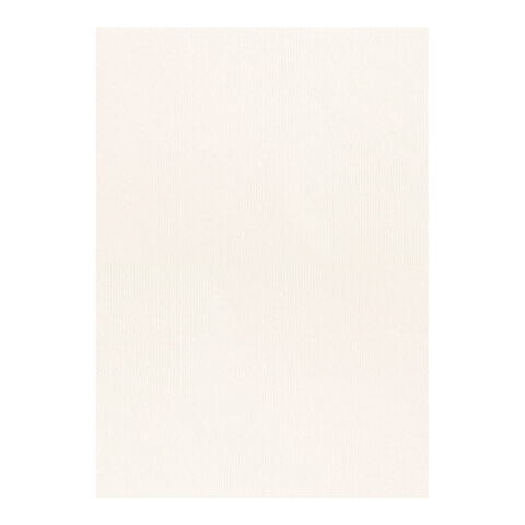 Einlegeblätter A4 weiß strukturiert 100g 