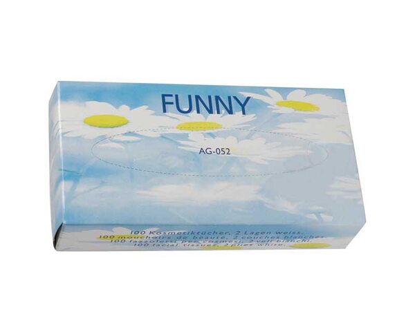 VEPATIM 4000 Kosmetiktücher in Spenderbox Zellstoff 2-lagig