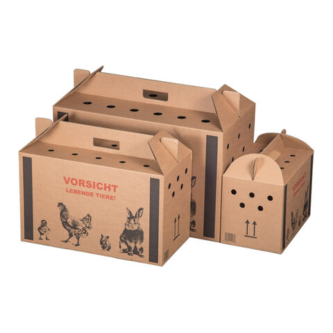 Transportkarton für Kleintiere Tragegriff Luftlöchern 3 Grössen Auswahl
