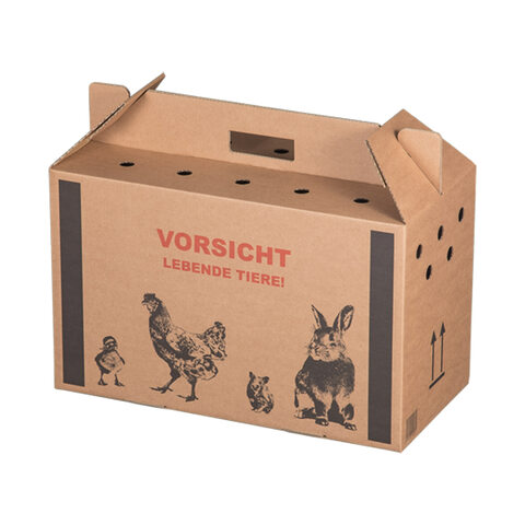 Transportkarton für Kleintiere Tragegriff Luftlöchern 3 Grössen Auswahl