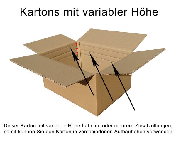 Umzugskarton Kleiderkarton Flaschenkarton Tellerpapier Gläser Porzellan SETS